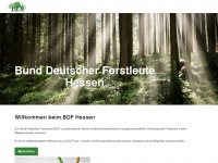 bdf-hessen.de Webseite Vorschau