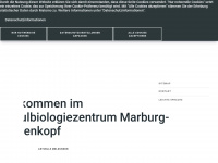 schubiz.marburg-biedenkopf.de Webseite Vorschau