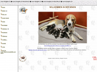 beagles.ch Webseite Vorschau