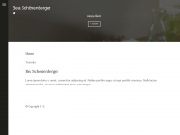 beaschoenenberger.ch Webseite Vorschau