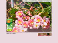 beet-und-balkonpflanze-des-jahres.de Webseite Vorschau