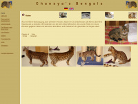 bengal-katzenzucht.de Webseite Vorschau