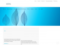 berag.ch Webseite Vorschau