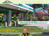 bergmair.at Webseite Vorschau