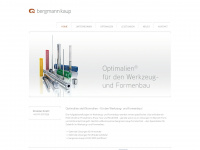 bergmann-kaup.de Webseite Vorschau
