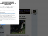 berner-sennenhund-infos.de Webseite Vorschau