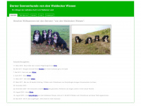 Bernersennen-von-den-waldecker-wiesen.de