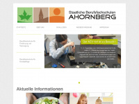 berufliche-schulen-ahornberg.de Webseite Vorschau