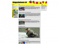 besserwisser.ch Webseite Vorschau