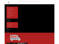 best-umzug.ch Webseite Vorschau