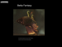 Betta-fantasy.de