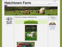 hatchtown.com Webseite Vorschau
