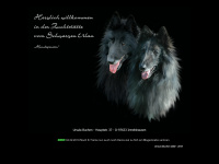 belgischer-schaeferhund.de Webseite Vorschau