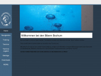 biber-bochum.de Webseite Vorschau
