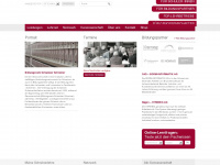 bin.ch Webseite Vorschau