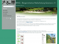 Bing-ev.de