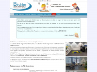birchlertagesschule.ch Webseite Vorschau
