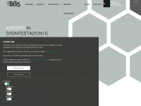 bitis.ch Webseite Vorschau
