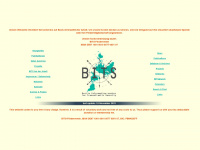 bits-berlin.de Webseite Vorschau