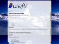 bizsoft.ch