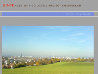 bl-binningen.ch Webseite Vorschau