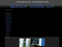 black-cats.ch Webseite Vorschau