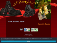 black-terrier.at Webseite Vorschau