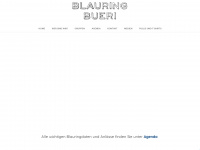 blauringbueri.ch Webseite Vorschau