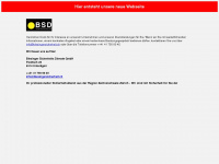 blesingersicherheit.ch Webseite Vorschau