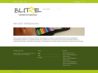 blitze.ch Webseite Vorschau