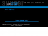 blitzsuuber.ch Webseite Vorschau