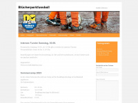 bluecherparkfussball.de Webseite Vorschau