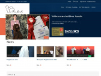 bluejewels.ch Webseite Vorschau
