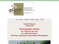 bluemetraeff.ch Webseite Vorschau