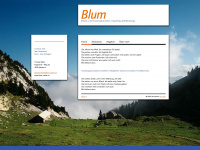 blum-vision.ch