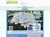 blumen-haentsche.de Webseite Vorschau