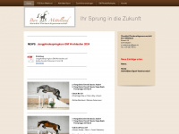 bm-pferde.ch Webseite Vorschau