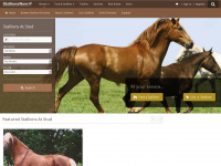 stallionsnow.com Webseite Vorschau