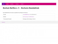 bochum-barflies.de Webseite Vorschau