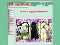 bohemian-blossom.de Webseite Vorschau