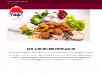 bolu-falafel.de Webseite Vorschau