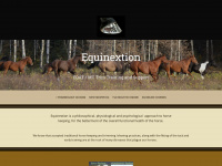 equinextion.com Thumbnail