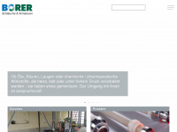 borerag.ch Webseite Vorschau