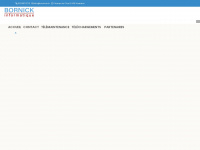 bornick.ch Webseite Vorschau