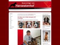 hanseatenhof.jimdo.com Thumbnail