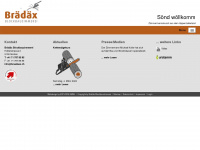 braedaex.ch Webseite Vorschau