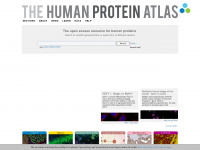 proteinatlas.org Thumbnail