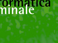 informatica-feminale.de Webseite Vorschau