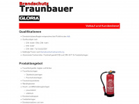 brandschutz-traunbauer.de Webseite Vorschau