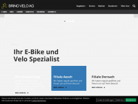 brino.ch Webseite Vorschau